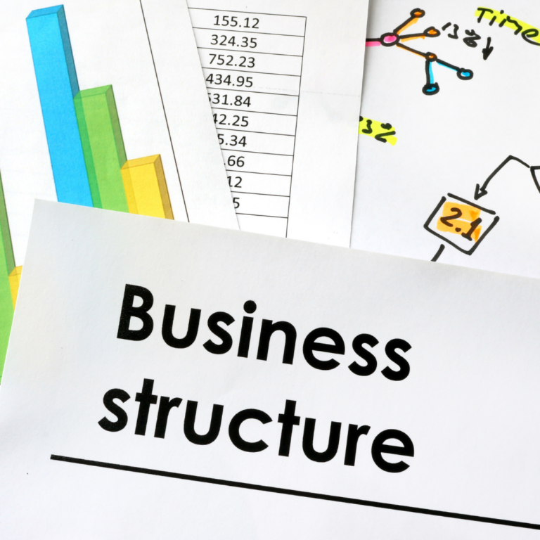 Sole Proprietorship, LLC, and S-Corps OH MY!